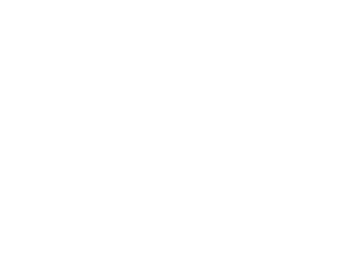 BattleBorn